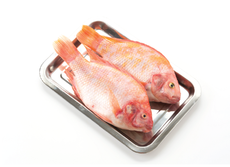 Seafood